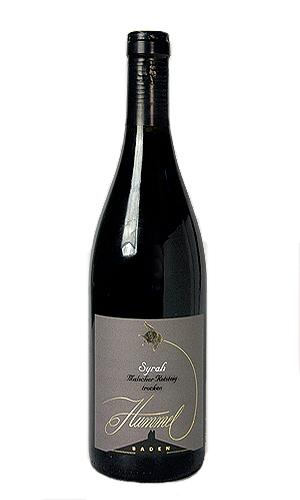 2020 Syrah Spätlese trocken, Malscher Rotsteig, 0.75l